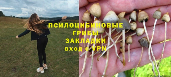 мяу мяу мука Михайловск